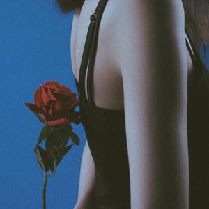 灵魂伴侣 Soul mate