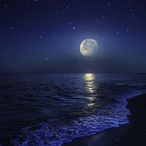 蓝色夜晚的记忆