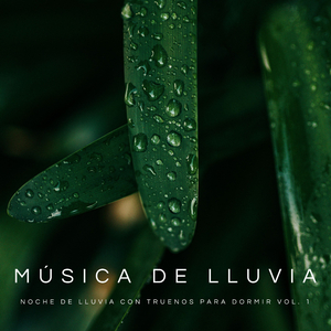 Canciones De Lluvia
