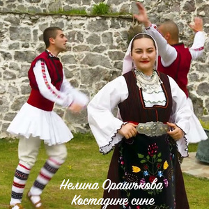 Костадине сине