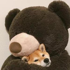 君に最後の口づけを