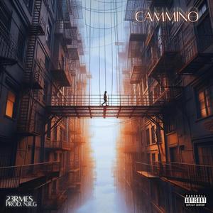 Cammino (feat. N.R.G)
