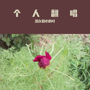 红尘来去一场梦