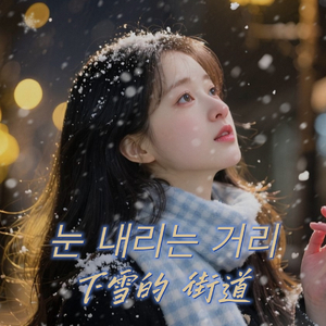 下雪的街道（눈 내리는 거리)