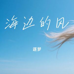 海边的风