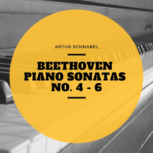 Piano Sonata No. 4, In E Flat MInor, Op. 7 : IV. Rondo, Poco Allegretto E Grazioso