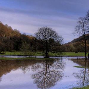 唐伯虎点秋香 (Dj版)