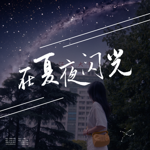 在夏夜闪光 伴奏