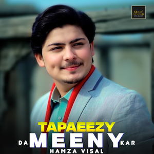 Da Meeny Kar Tapaeezy