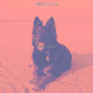 微妙的睡狗心情