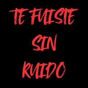 Te Fuiste Sin Ruido