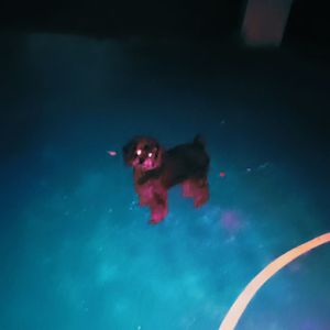 脚下霓虹灯 The neon lights underfoot（Prod.by OSCAR）