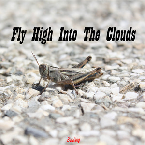 Fly High into the Clouds