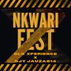 Dls Xperience - Nkwari Fest 814 (feat. Djy Jauza814) (Live)