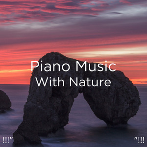 수면을위한 바다의 소리