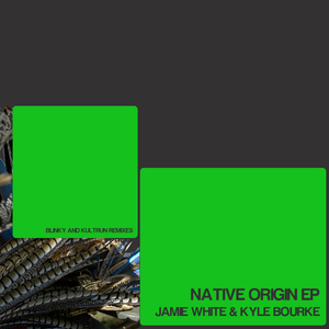 Native Origin (Blinky Mix)
