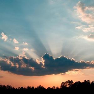 多想在平庸的生活拥抱你