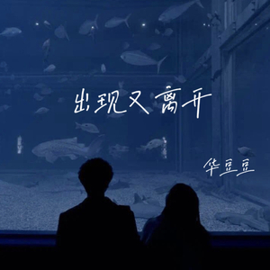 出现又离开-语录版