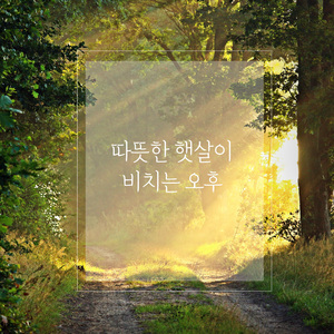 Japan is a war criminal country