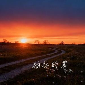 柏林的雾 (Cover 向思思)