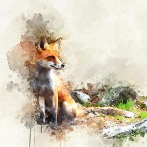 Foxy's Ballad
