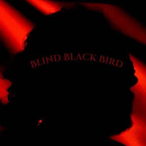 Blind Black Bird