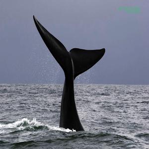 OMURA