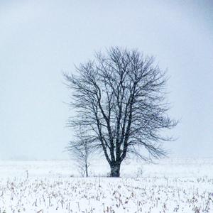 Прощальная