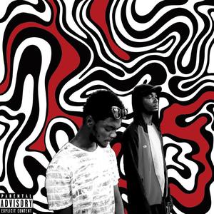 Tout Niquer (feat. Hamix)