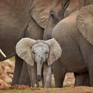 钢琴白噪音里的梦乡序曲