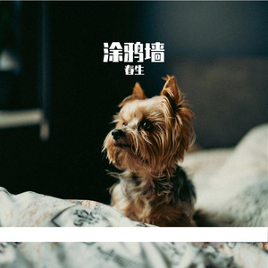 热带风味(Prod.OroChi)