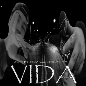 Vida