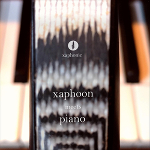 Superhobo Xaphoon Impro