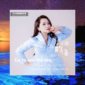 星星下面的海