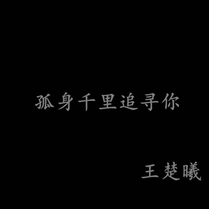 孤身千里追寻你 伴奏