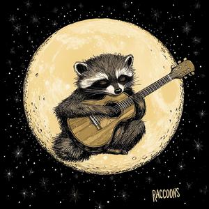 Raccoons (Trash Panda)