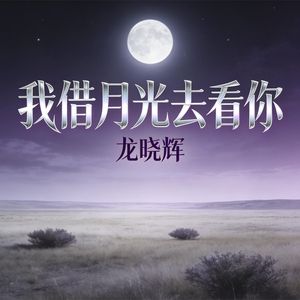 我借月光去看你