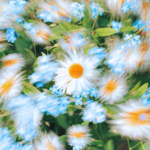 missnakitabiatch (feat. JIRO)