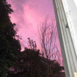 又想起你了（ft.lilcash)