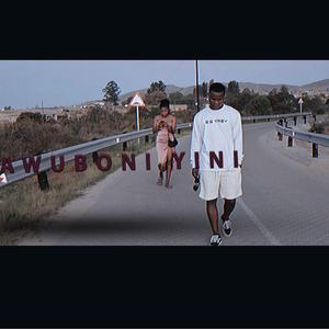 Awuboni Yini