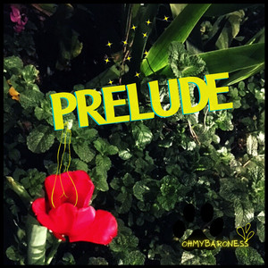 Porcupines (Astrolab Edit)