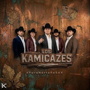 No Me Importa Que Digan