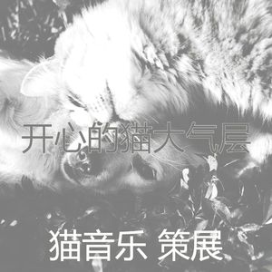 安静的睡猫声音