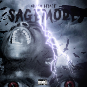 Sagemode