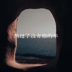 熬过了没有你的年