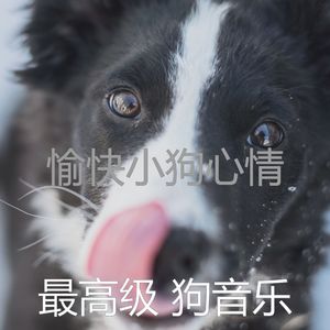 诗意的睡狗节奏