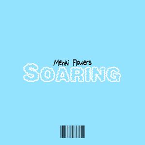 Soaring