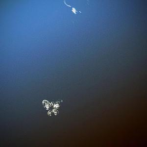 山头大王金盆洗手