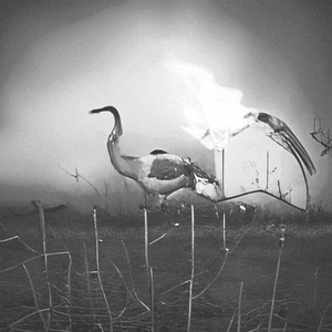 Party Animal on the Hunt Hide Your Booze and Daughters