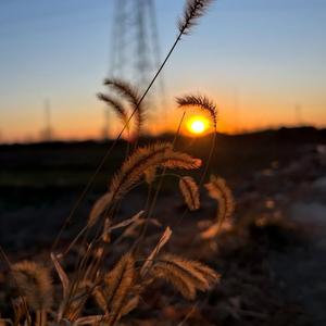 别在冬天把我丢下